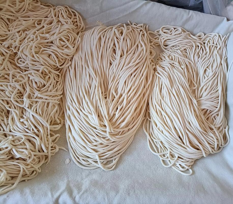 鲜面条