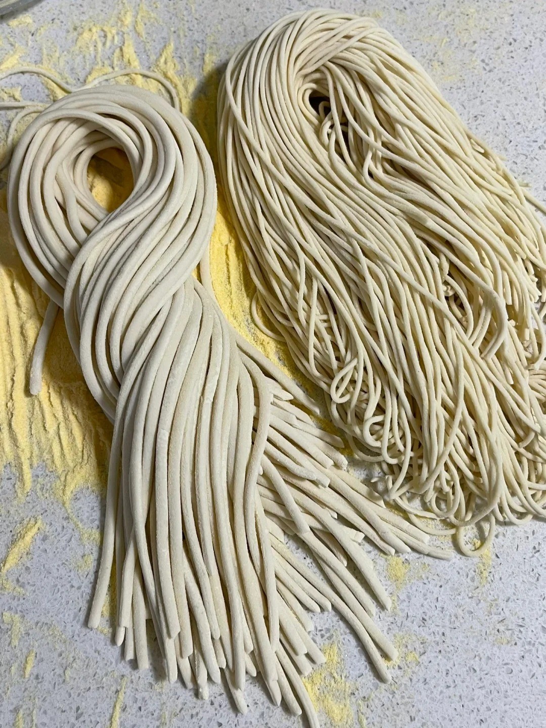 鲜面条