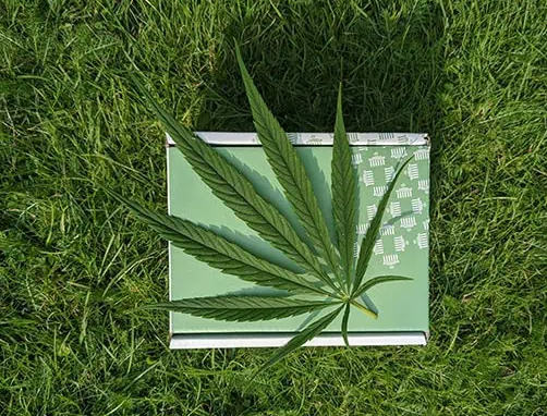 CBD包装设计的艺术