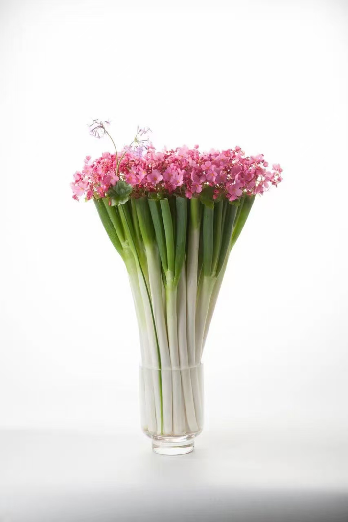 杨凌绿阳高新农业发展有限责任公司