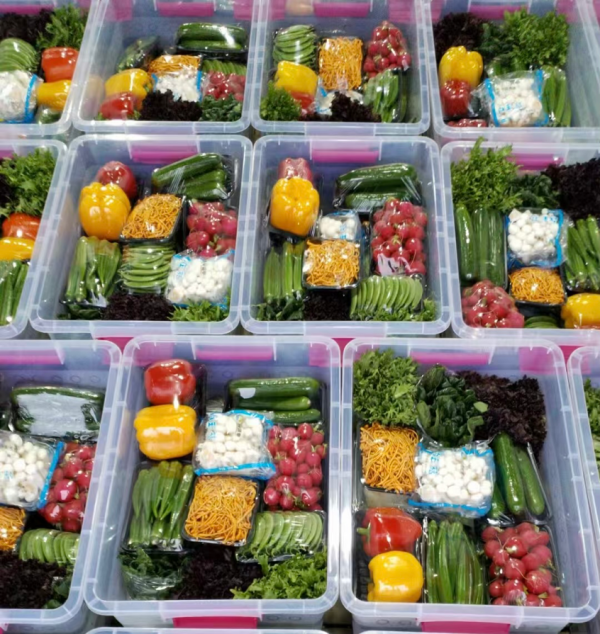 杨凌绿阳高新农业发展有限责任公司