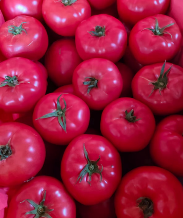 杨凌绿阳高新农业发展有限责任公司