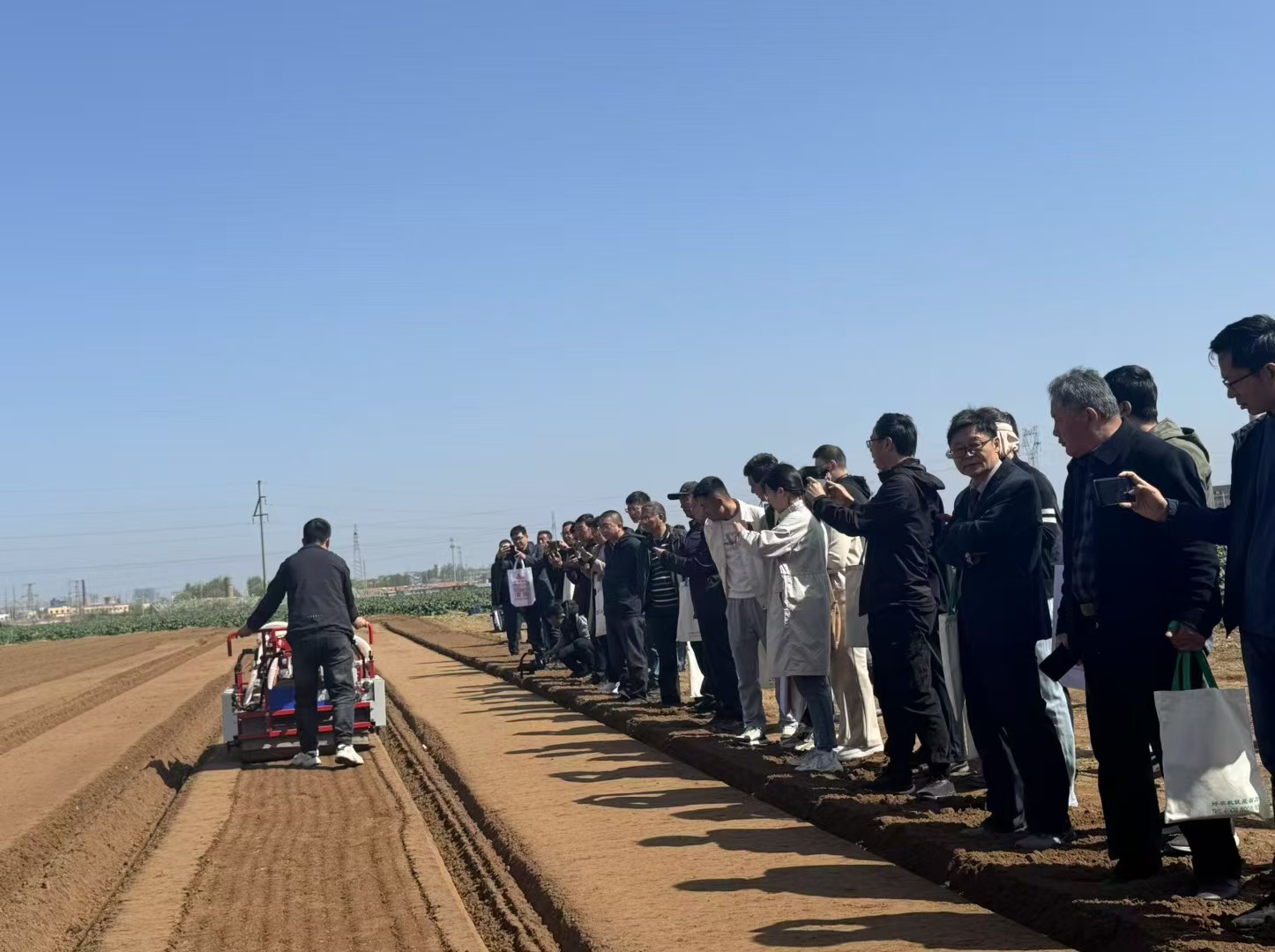 1767167734382451.jpg 蔬菜播种机