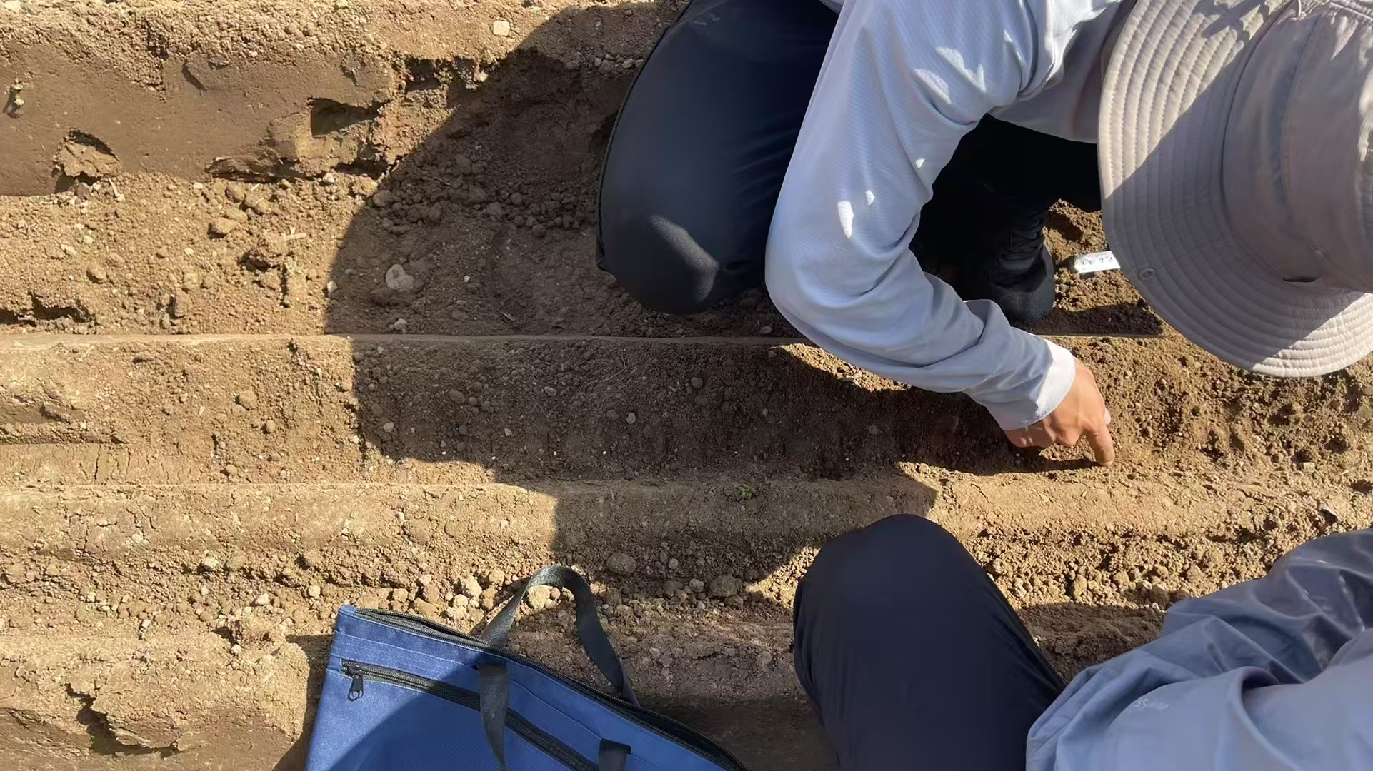 1767168910807570.jpg 蔬菜播种机