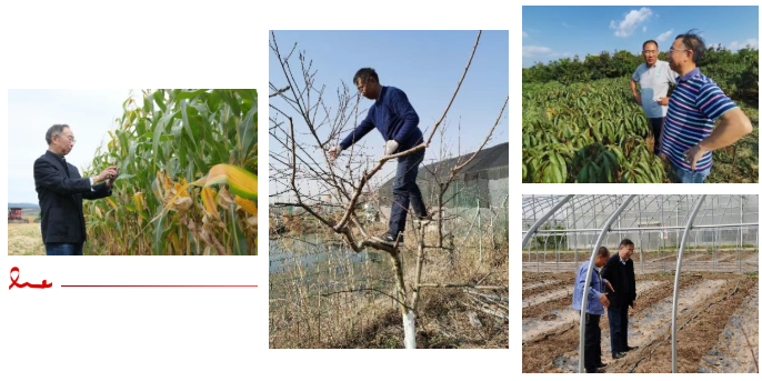 1767592809740017.png 南京禾稼春捐赠