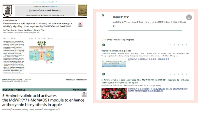 1767592818547971.png 南京禾稼春捐赠