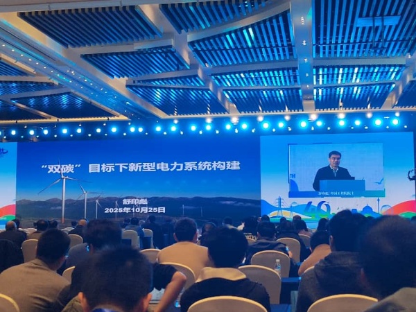 清洁与可再生能源发电分会