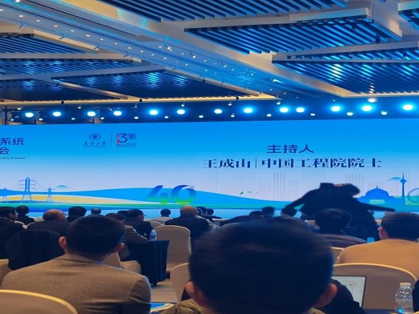 清洁与可再生能源发电分会