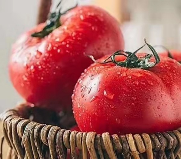 杨凌绿阳高新农业发展有限责任公司