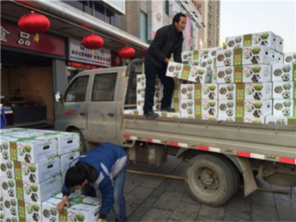 杨凌绿阳高新农业发展有限责任公司