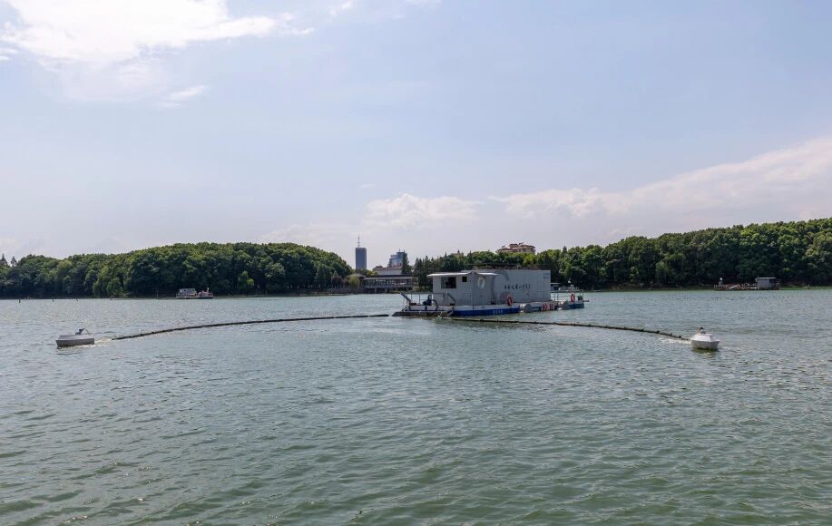 1767748313620485.jpg 底泥洗脱和蓝藻防控技术亮相长江生态环境保护修复科技成果推介活动