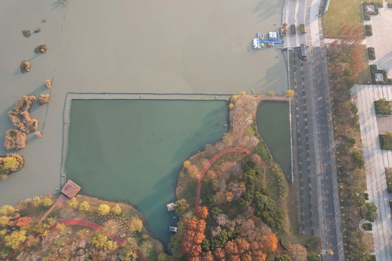 1767751494874642.jpg 省巢湖管理局联合生态环境部长江局监测中心调研巢湖底泥洗脱生境改善试验项目