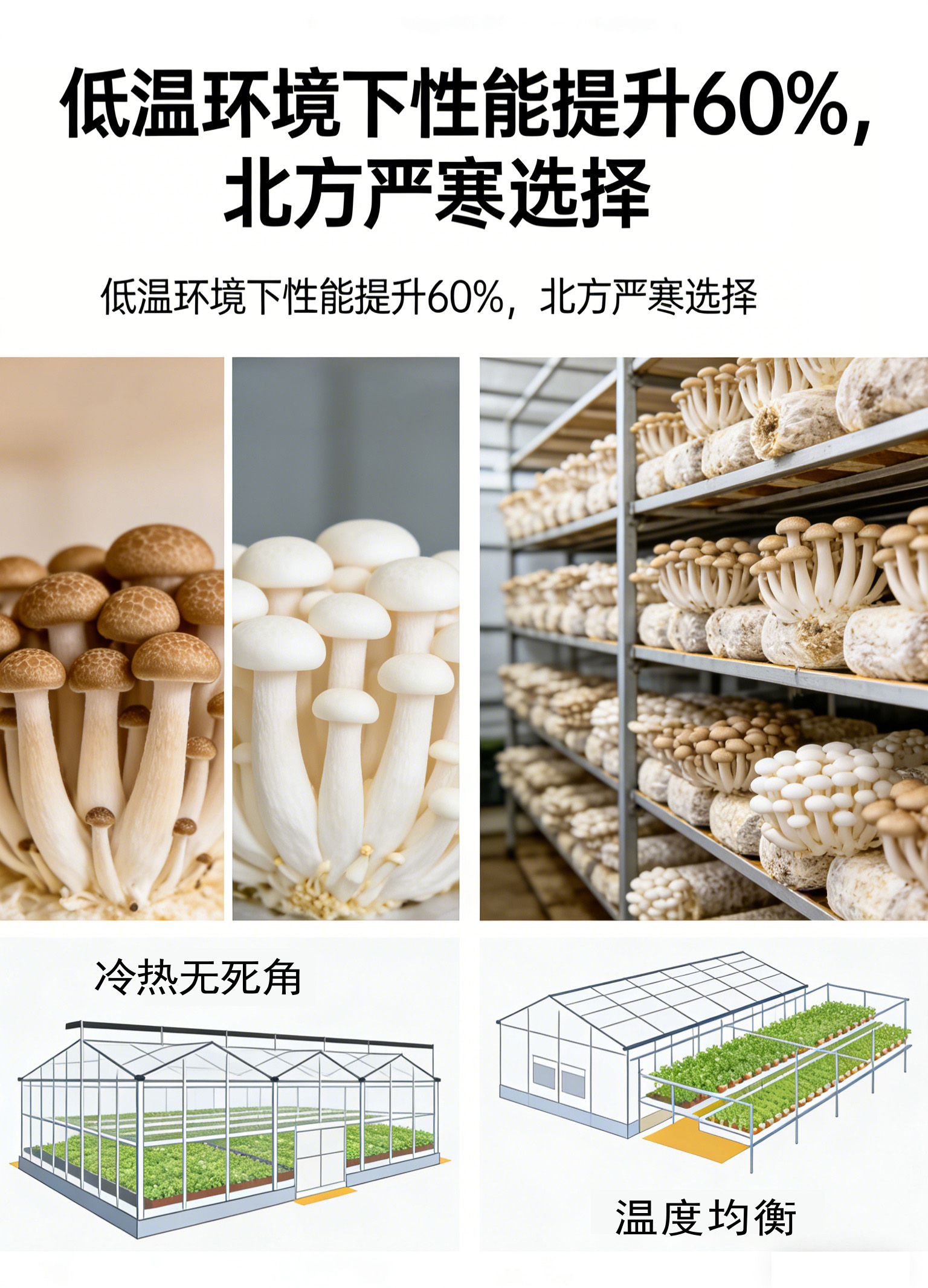 射流款水源热泵一体机