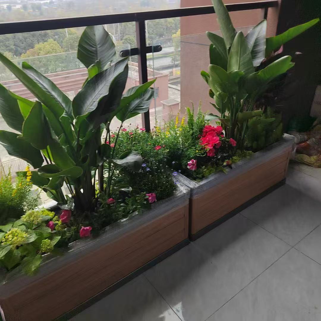 庭院花箱
