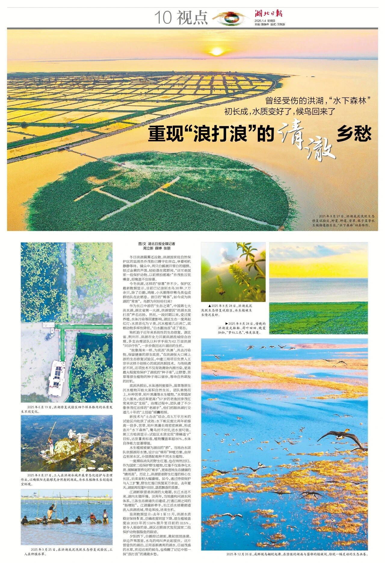 1767841239139942.jpg 《湖北日报》专版聚焦洪湖底泥洗脱生态修复试验项目治理成效