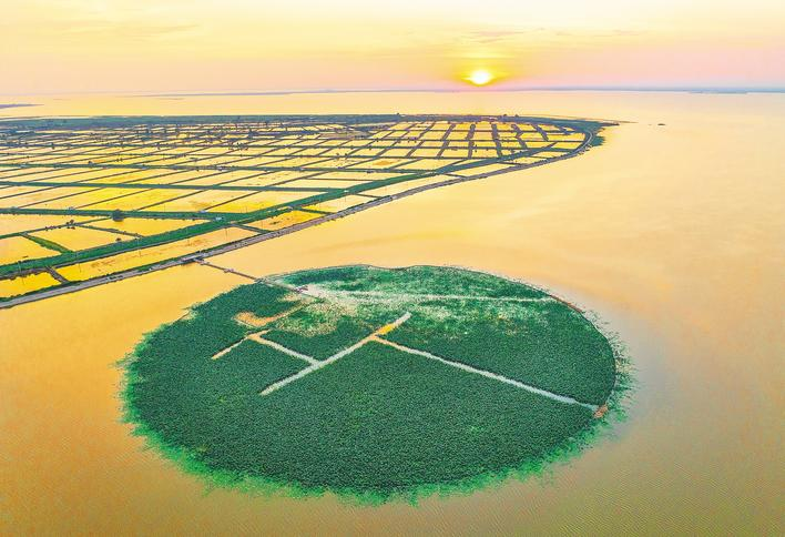 1767841272604760.png 《湖北日报》专版聚焦洪湖底泥洗脱生态修复试验项目治理成效