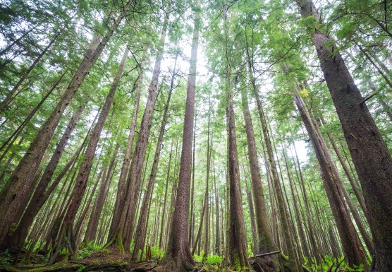 什么是可持续包装？理解向更环保材料的转变