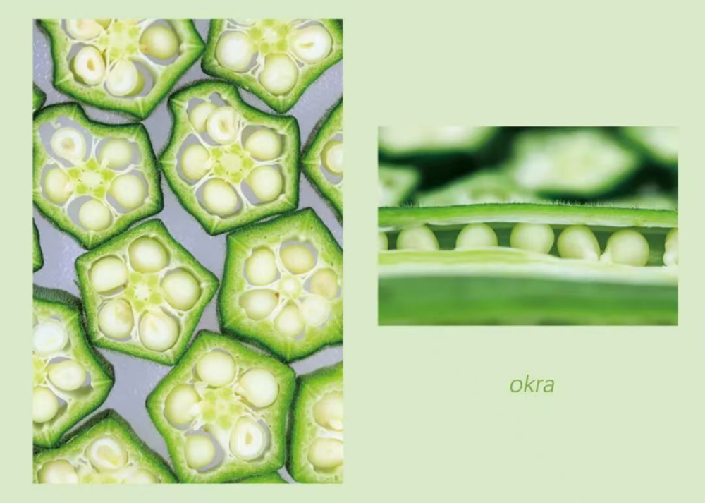 杨凌绿阳高新农业发展有限责任公司