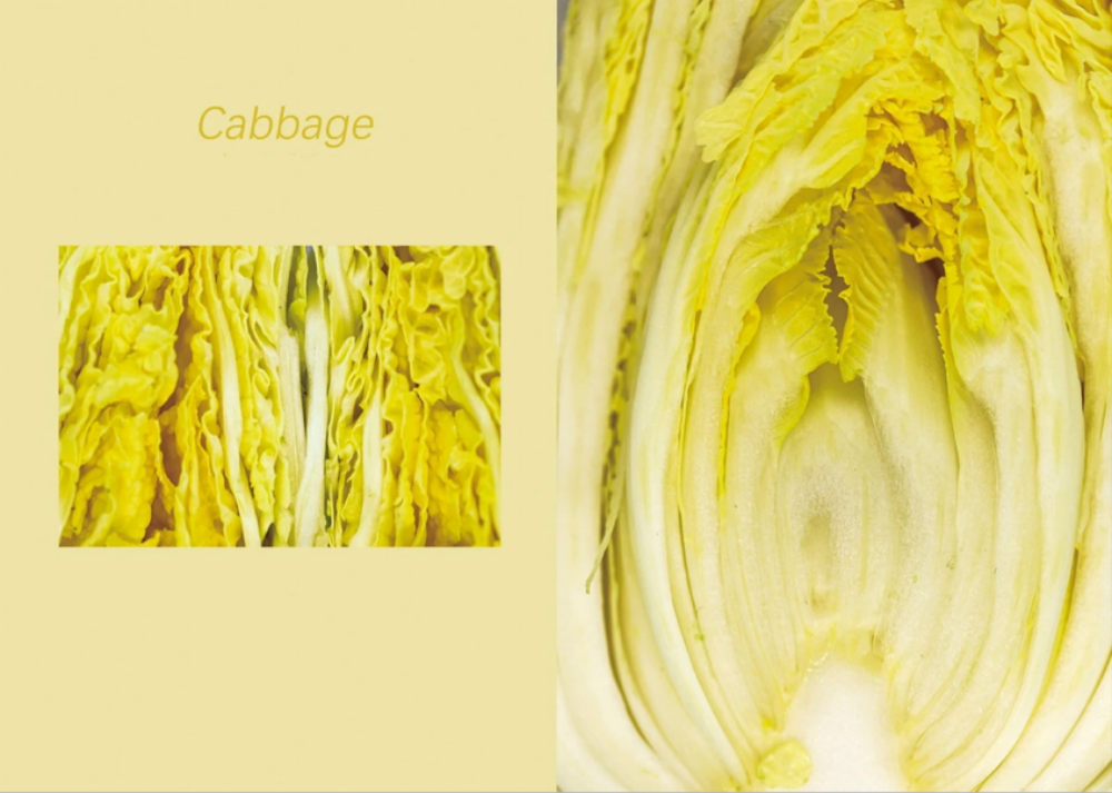 杨凌绿阳高新农业发展有限责任公司