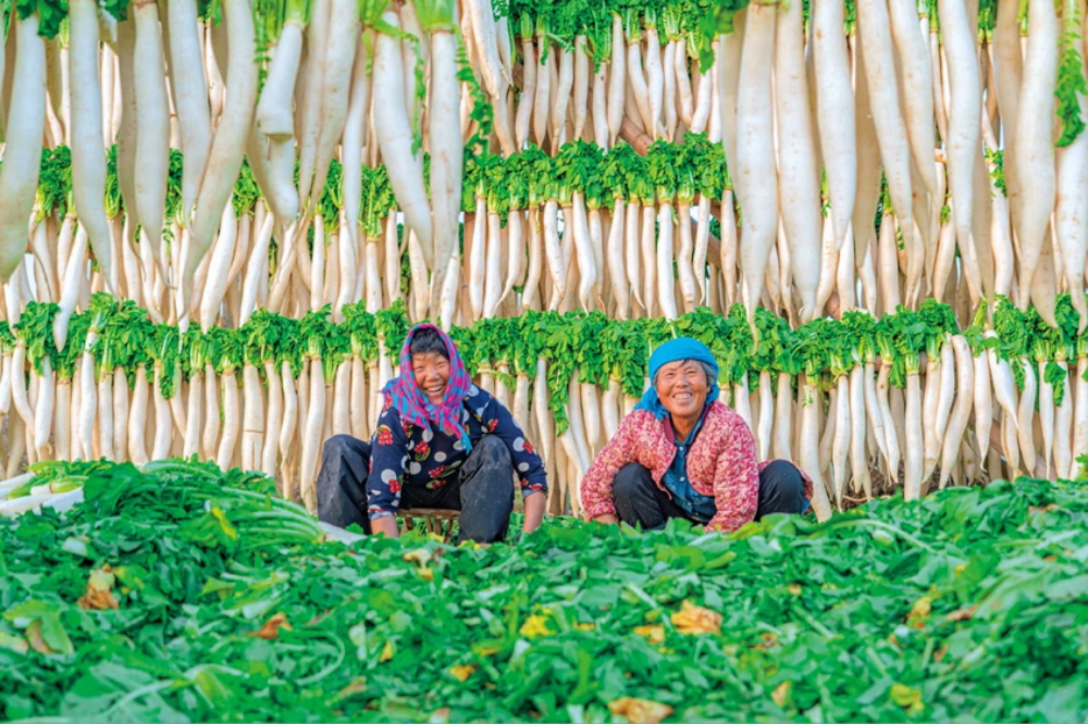 杨凌绿阳高新农业发展有限责任公司