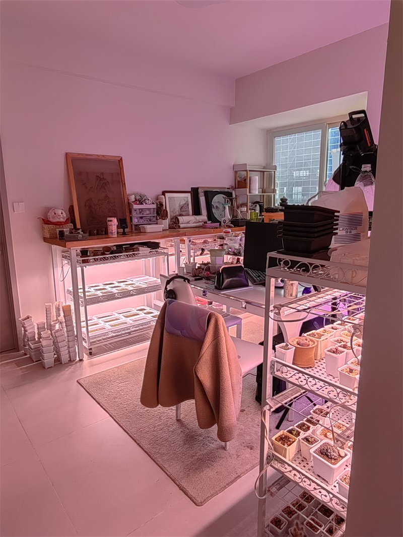 旧房翻新、改造