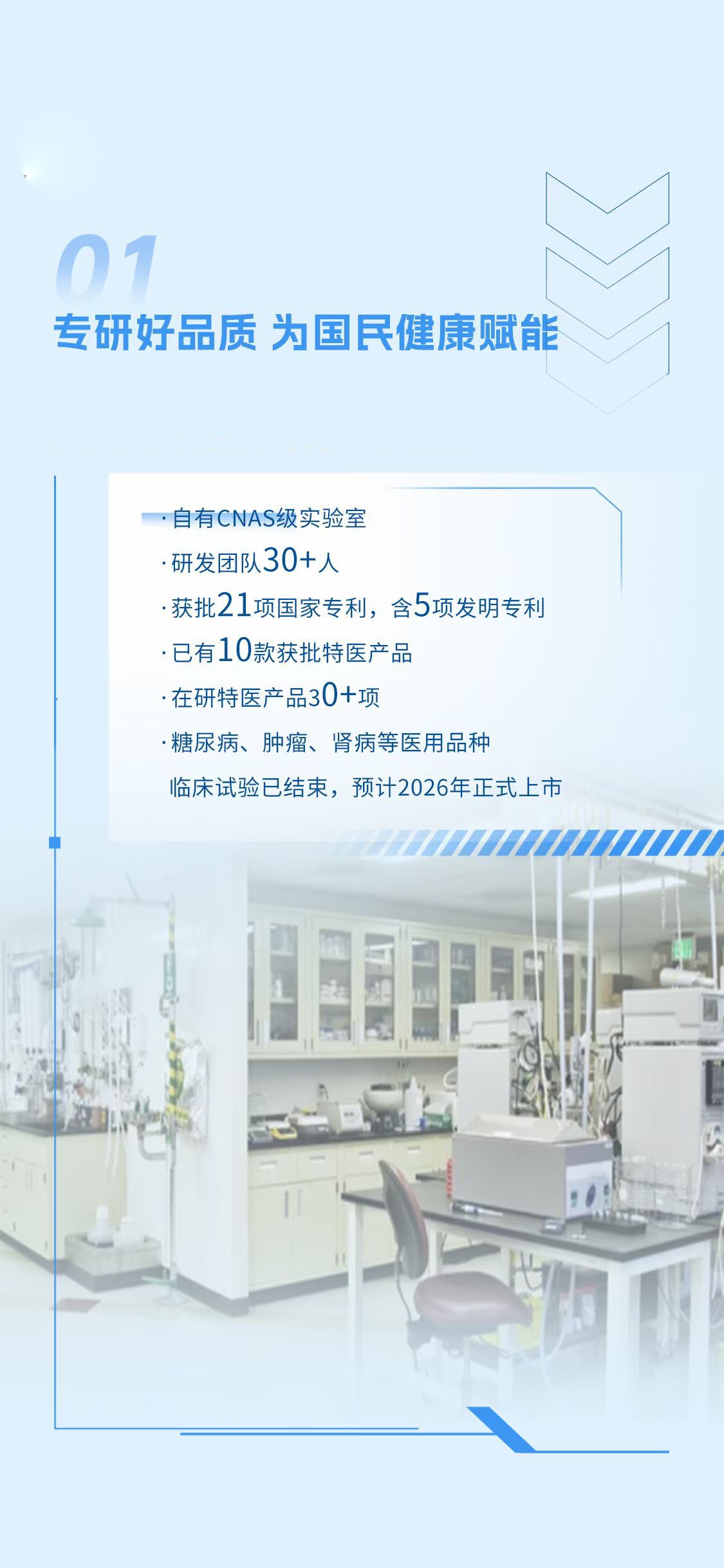 治疗性饮食 H、B、D、P等的特点有哪些？