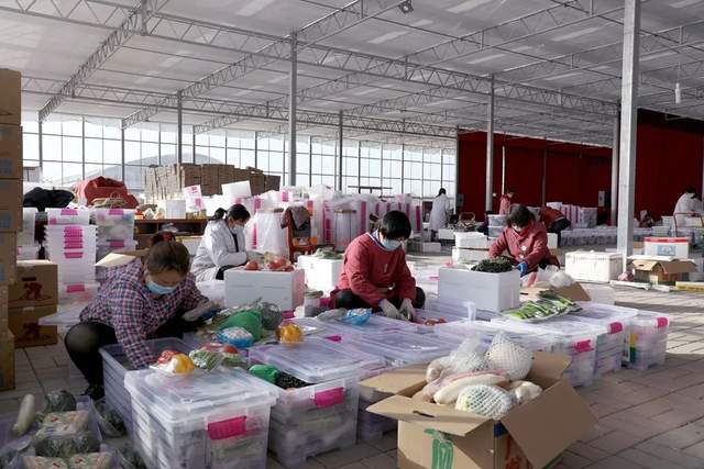 1768982175652996.jpeg 杨凌绿阳高新农业发展有限责任公司