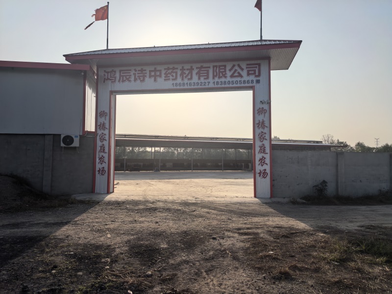 基地环境