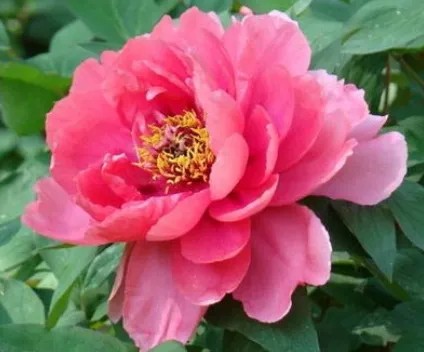 陕西文华建筑景观工程有限公司