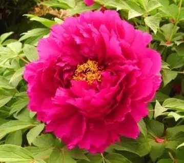 陕西文华建筑景观工程有限公司