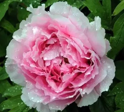 陕西文华建筑景观工程有限公司