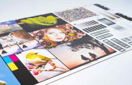 1769157385822779.png 印刷包装,还加上了“哇”!