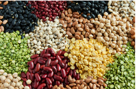 特医全营养食品