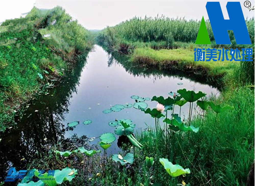 1769991448992668.jpg 农村污水