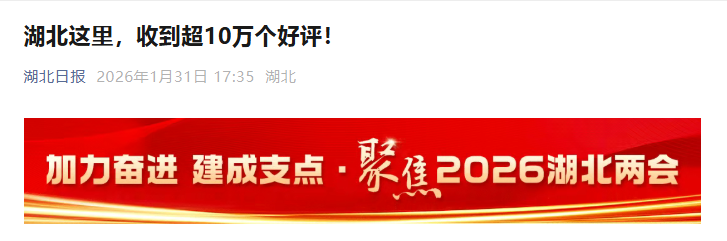 10万+候鸟给洪湖的好评