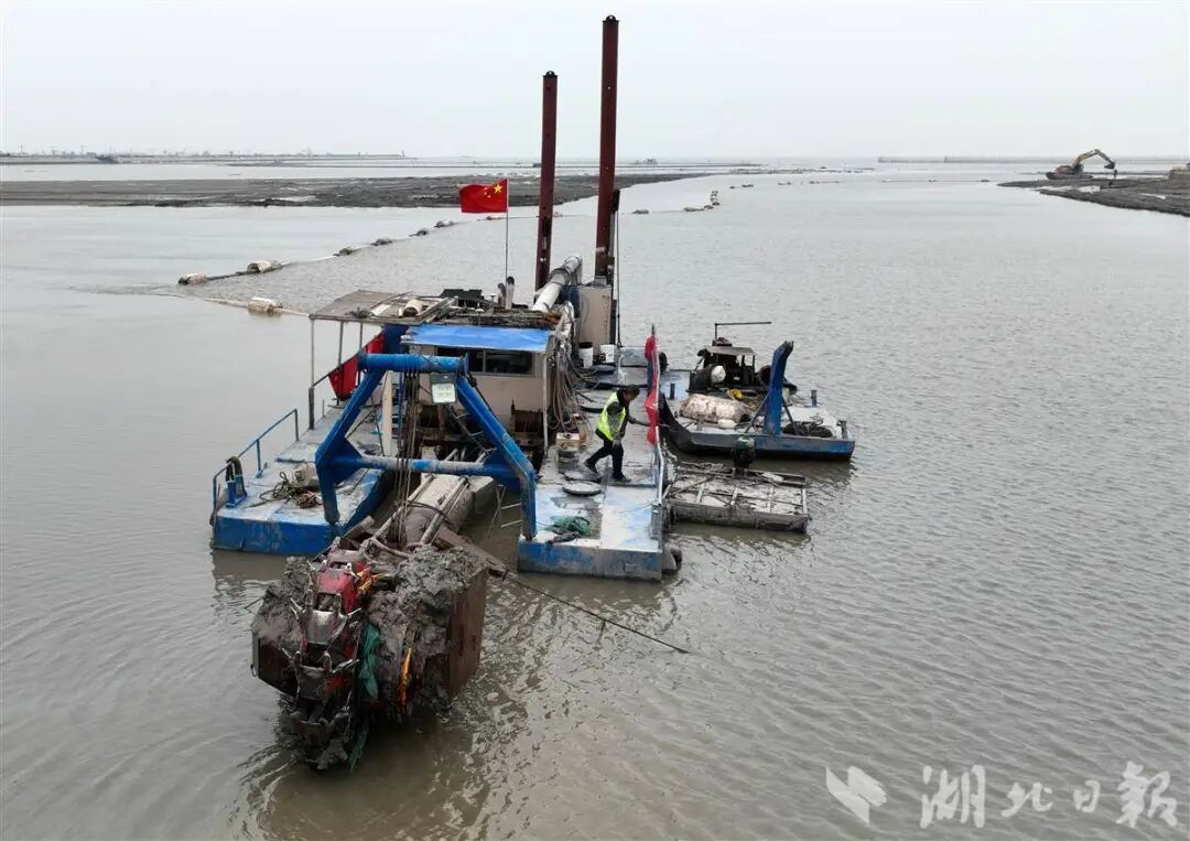 10万+候鸟给洪湖的好评