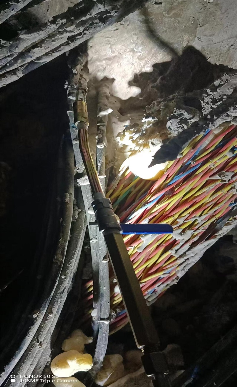 成都市新都区大丰街道