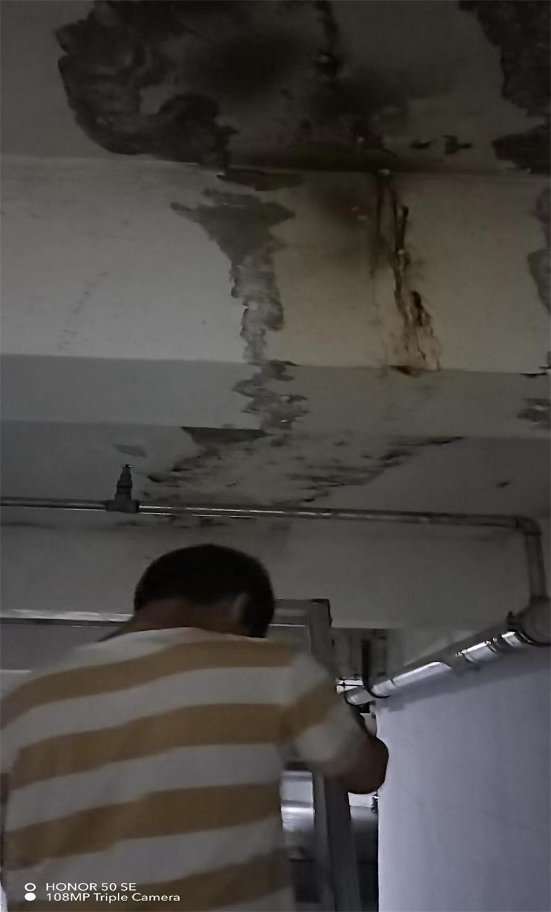 成都市新都区大丰街道