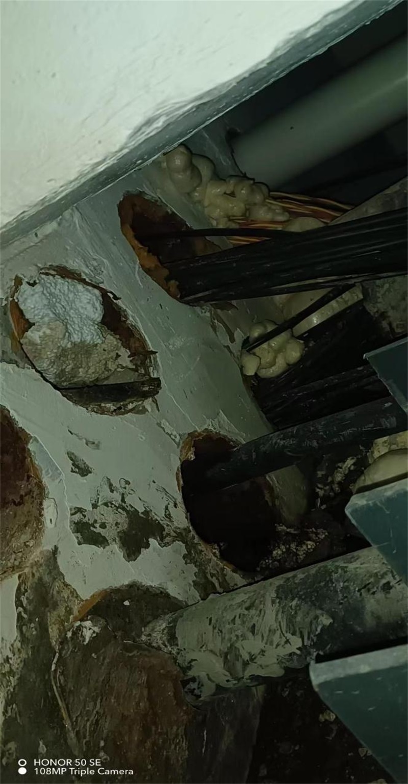 成都市新都区大丰街道