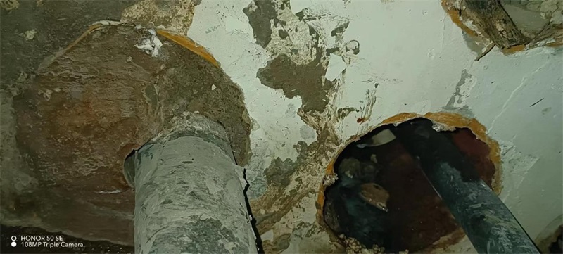 成都市新都区大丰街道