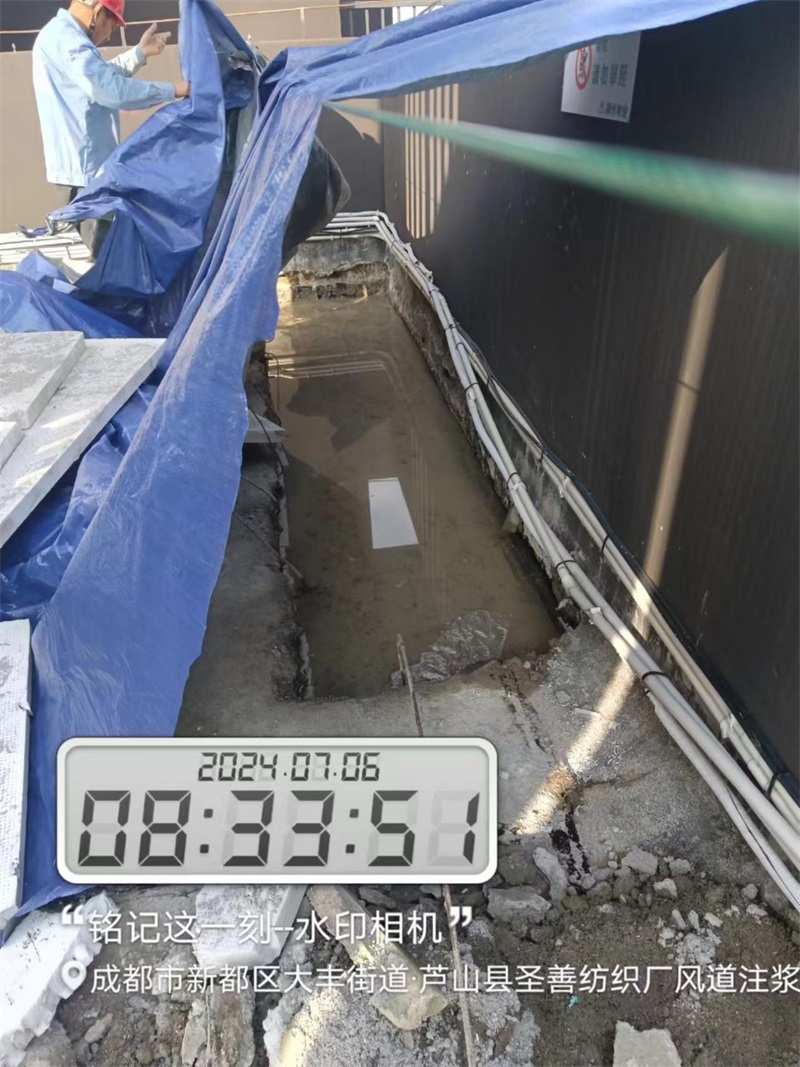 成都市新都区大丰街道