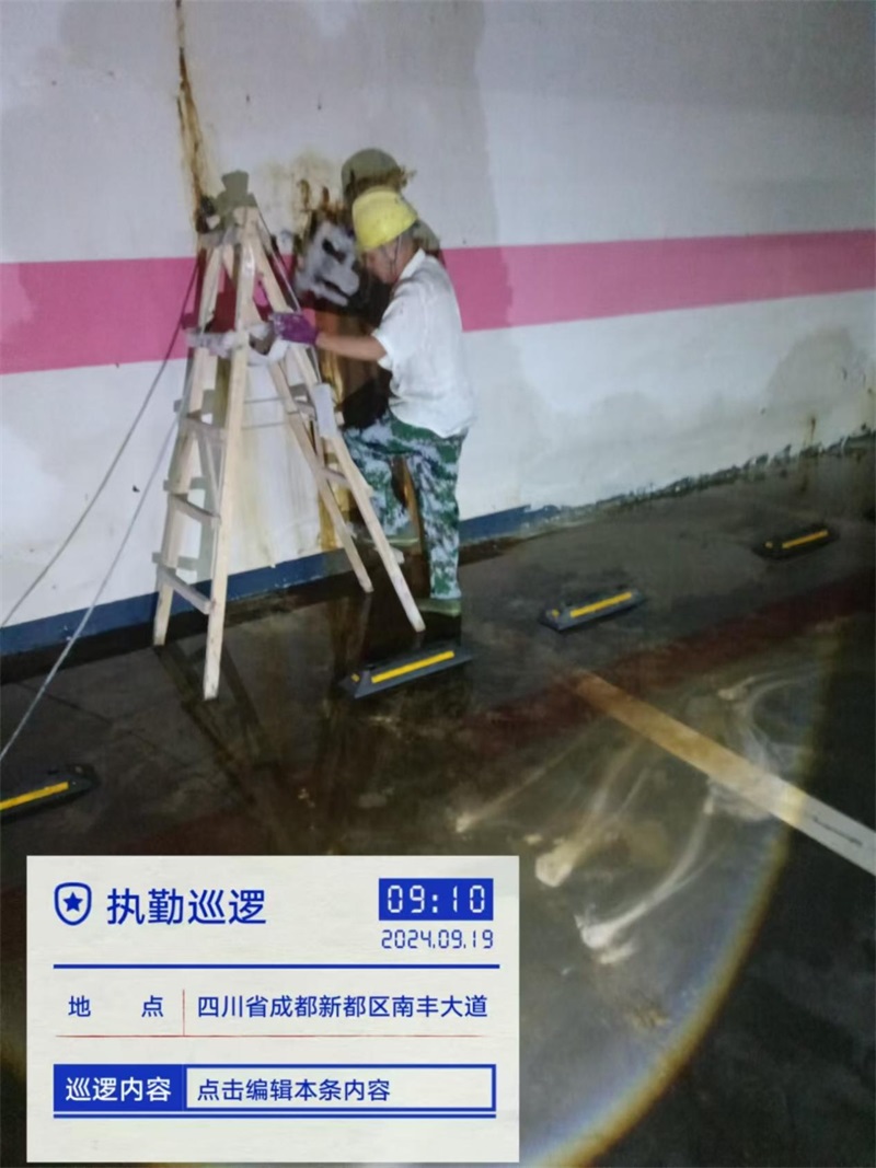 成都市新都区大丰街道