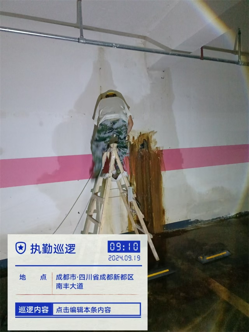 成都市新都区大丰街道