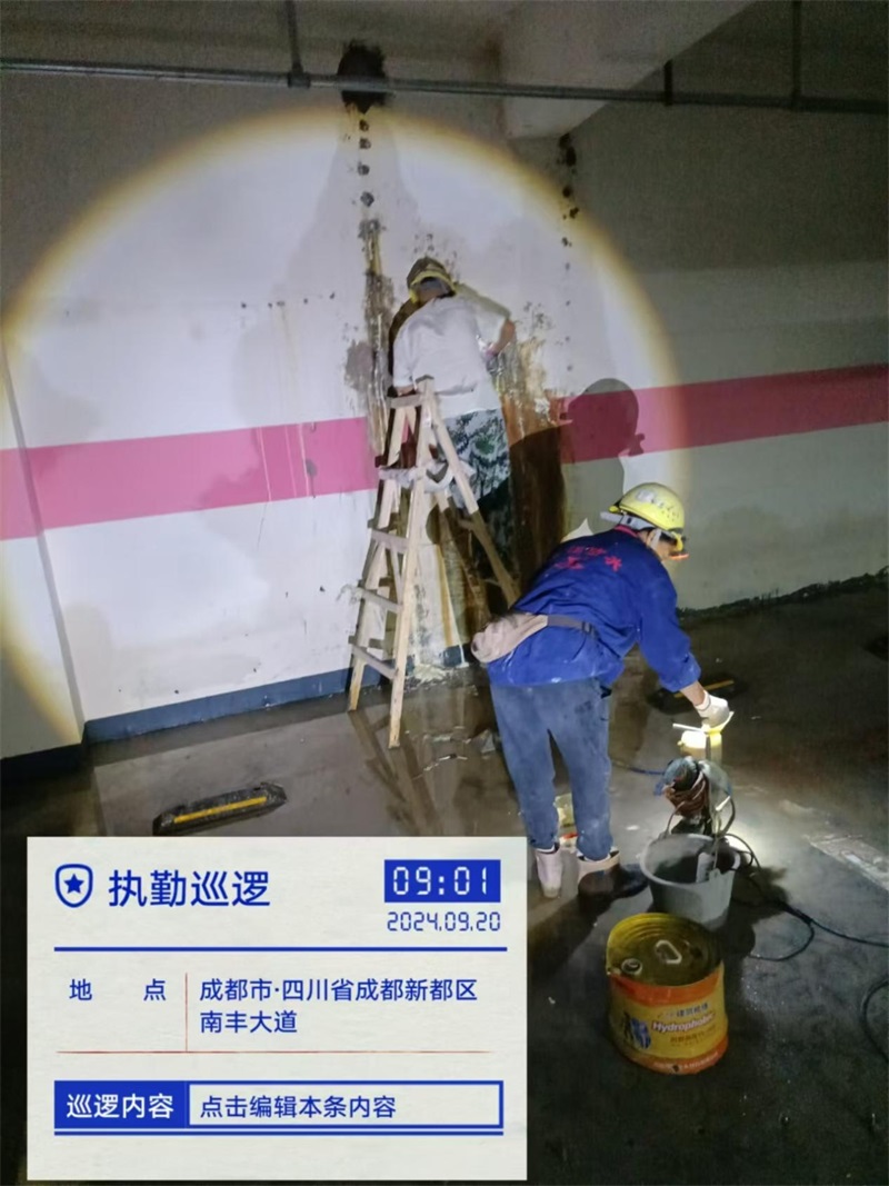 成都市新都区大丰街道