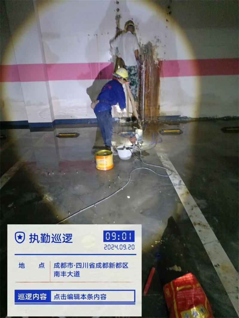 成都市新都区大丰街道