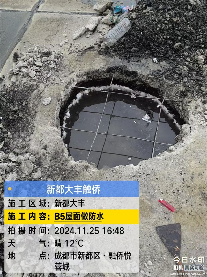 成都市新都区大丰街道