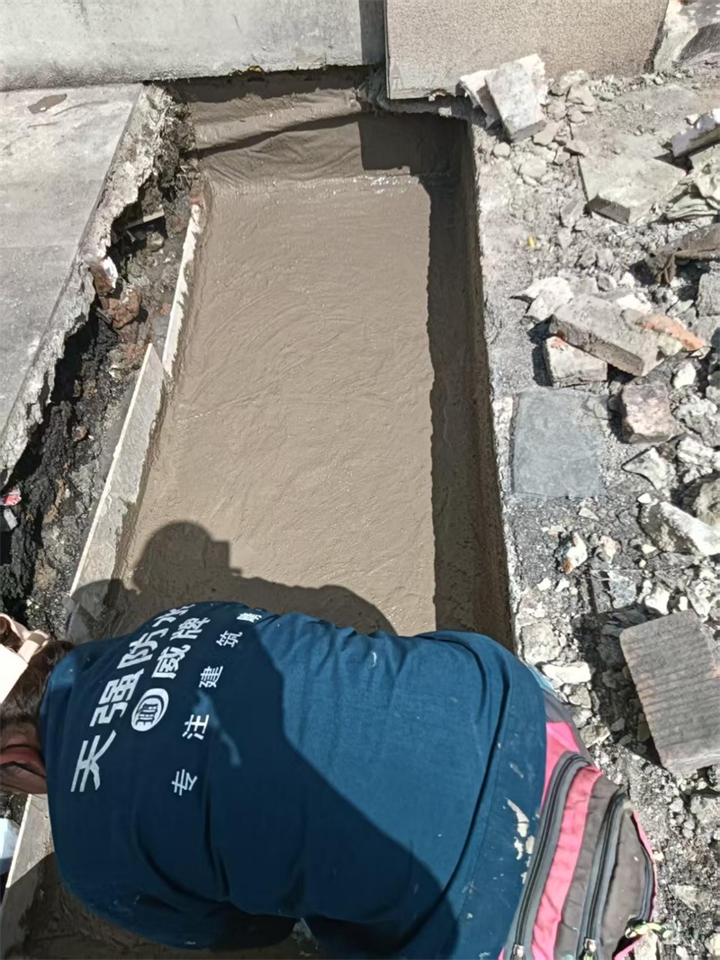 成都市新都区大丰街道