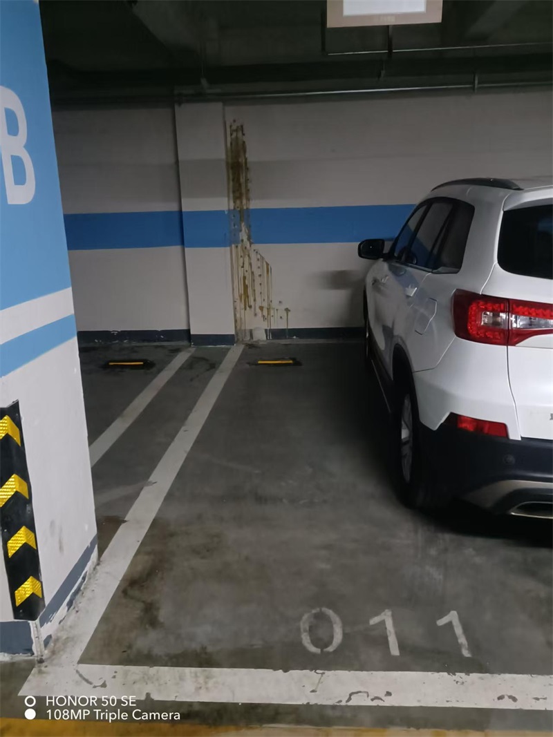 成都市新都区大丰街道