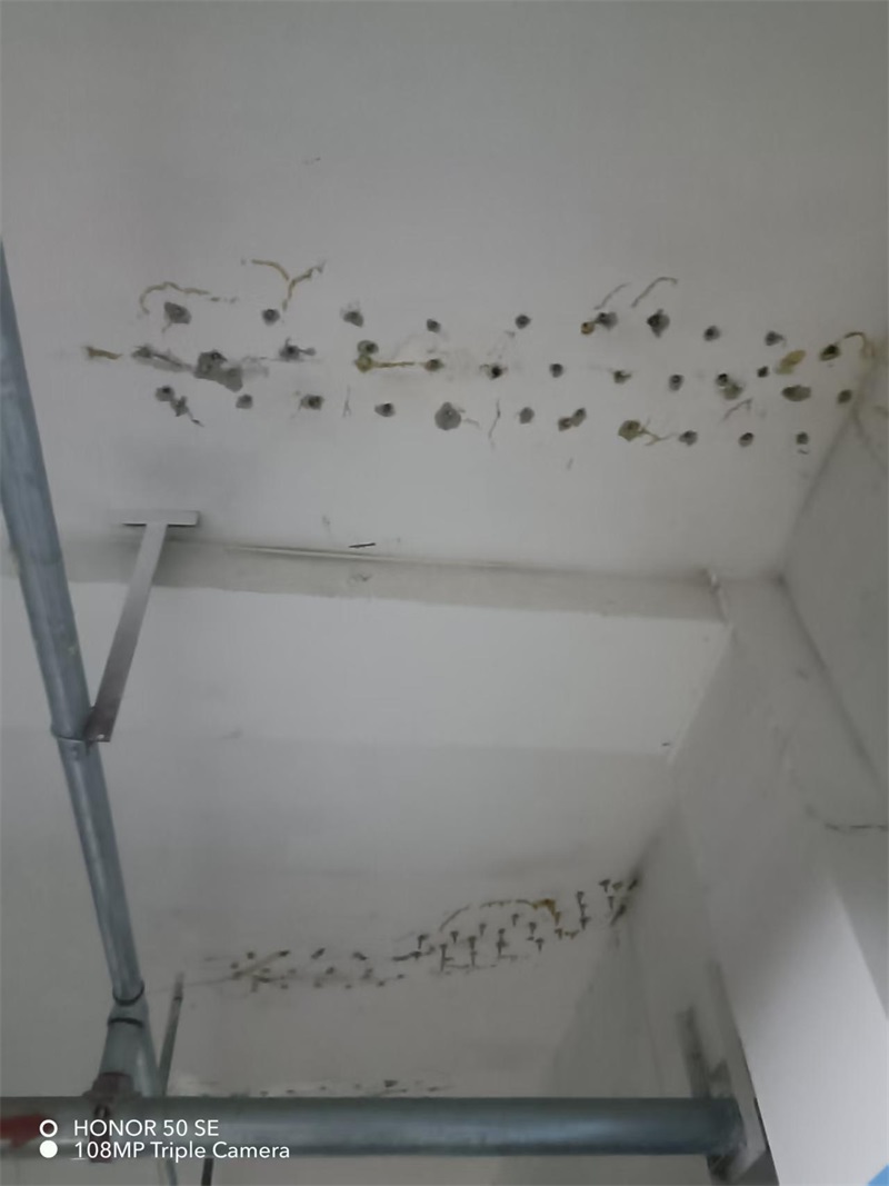 成都市新都区大丰街道