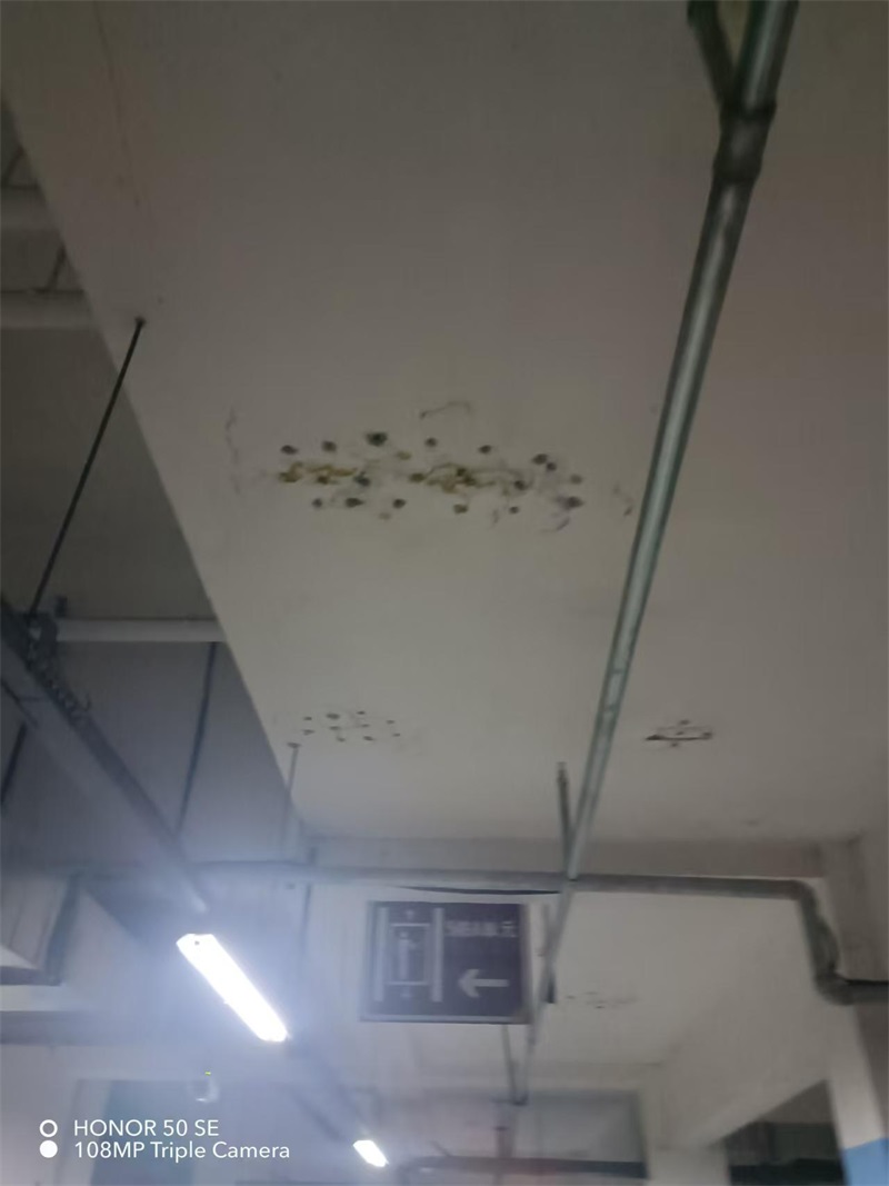 成都市新都区大丰街道